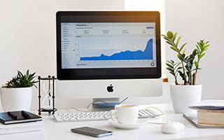 中医对胆的论述